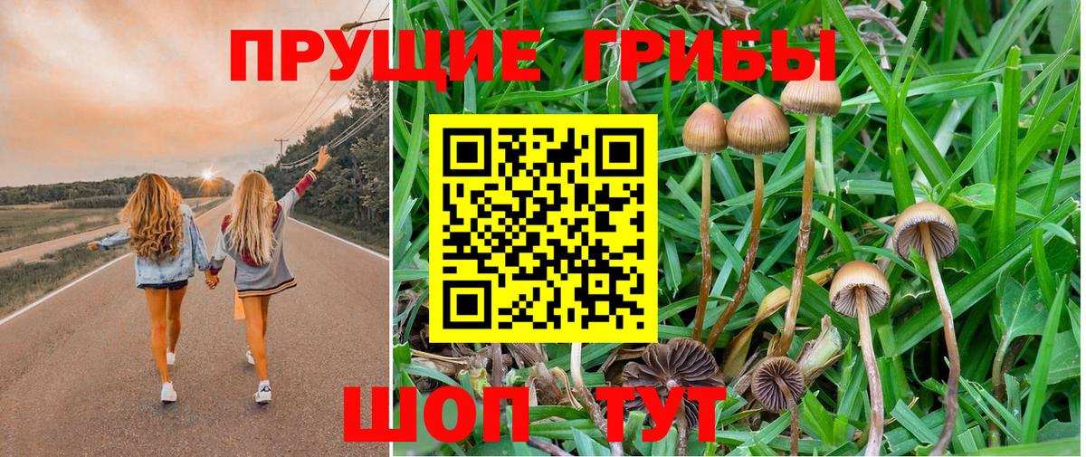 Ипатово  Псилоцибиновые грибы прущие грибы  Вход с VPN 